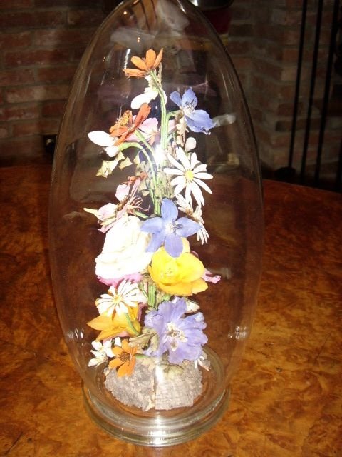 glass dome display of real dried flowers with butterfly