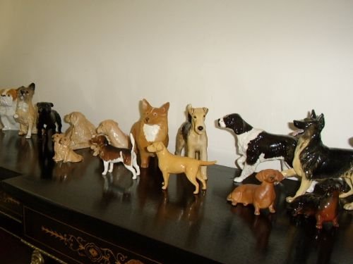 collection of 18 royal doulton beswick dogs