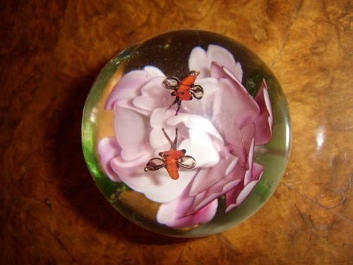 glass paperweight with pink rose two insects inside
