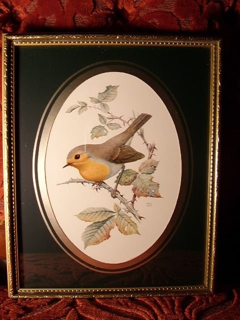 quality print of robin bird on leafy branch marked munn 1960 10 x 8 inches