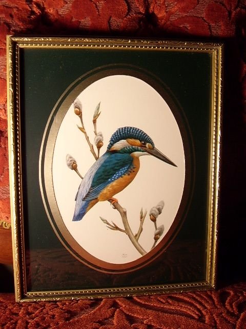 quality print of kingfisher on budding branch marked munn 1958 10 x 8 inches