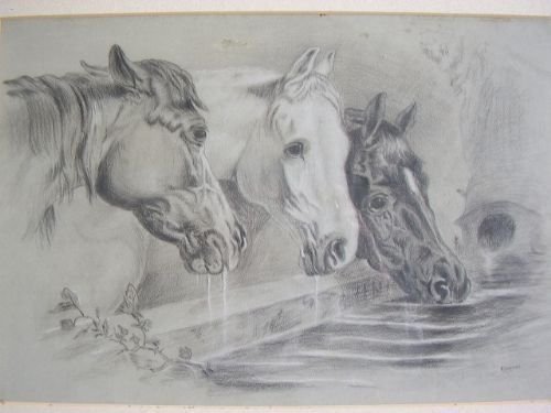 pencil drawing three horses watering after jfherring senior