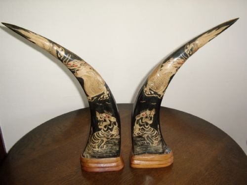 pair of chinese buffalo horns hand decorated with a dragon tigers above carved wooden base plynths 17 inches high
