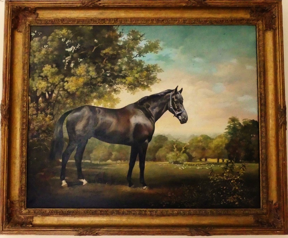 black beauty thoroughbred race horse portraits equestrian landscape paintings